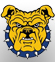 North Carolina A&T